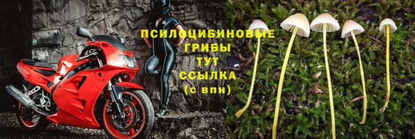 ECSTASY Армянск