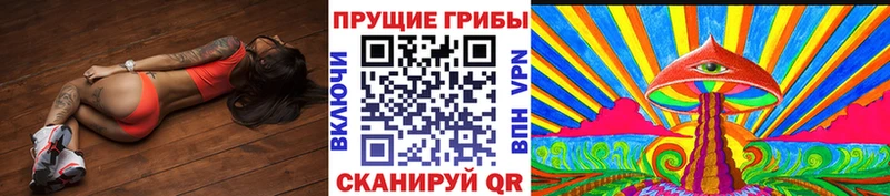 ссылка на мегу ссылка  Пучеж  Псилоцибиновые грибы Magic Shrooms 